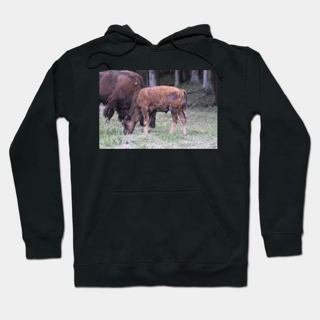 Adolescent Bison Hoodie by MarieDarcy